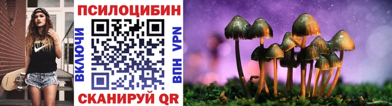 Псилоцибиновые грибы прущие грибы  где можно купить   Горняк 